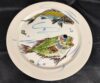 Speiseteller Capri 23,3 cm V&B Motiv grüner Fisch